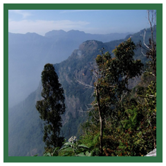 coonoor tour